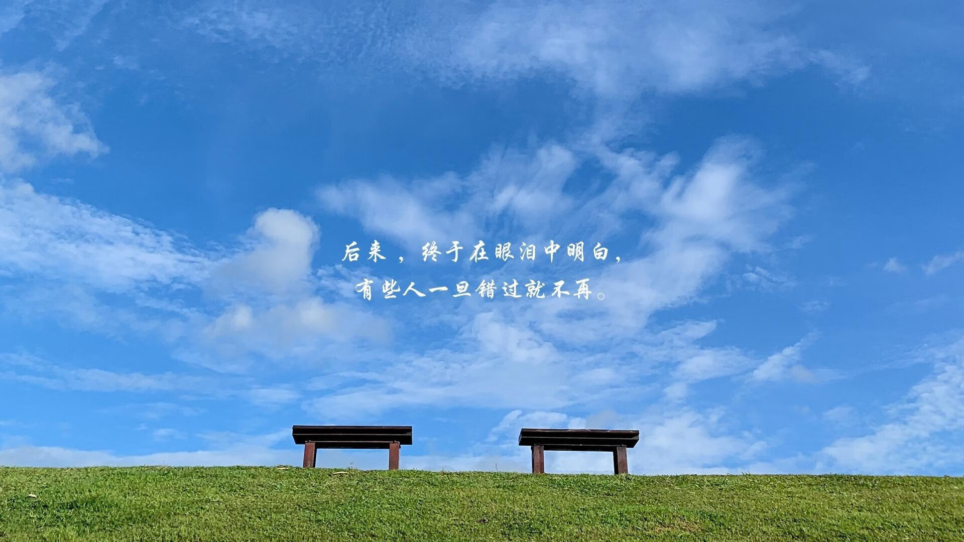 “速度与耐力的对决，SHO-CHAN Run 2025将在香港点燃激情”