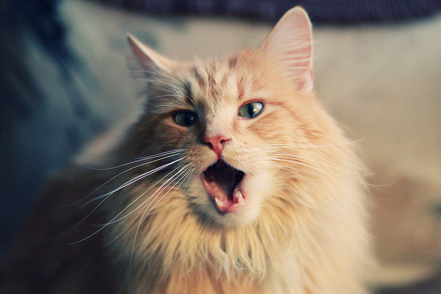 亚冠联赛关键场次激发球队潜力爆发,亚冠联赛冠军球队