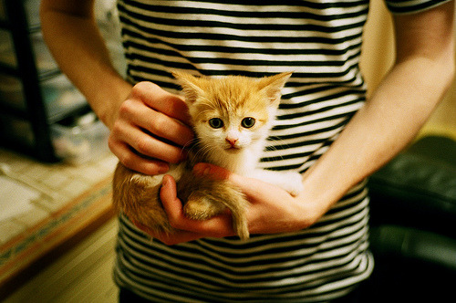 梅西在国家队豪取关键进球，带领阿根廷迈向胜利