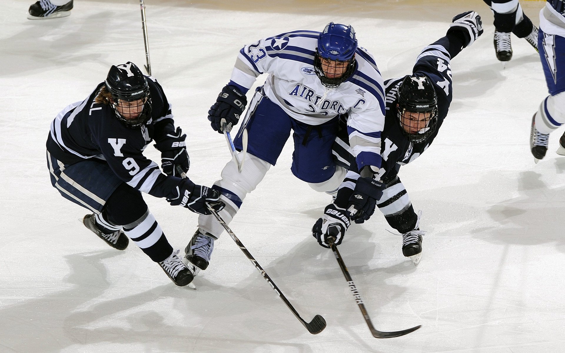 “马丁·高尔西的坚固防线，助阿根廷美洲狮队抗衡强敌”