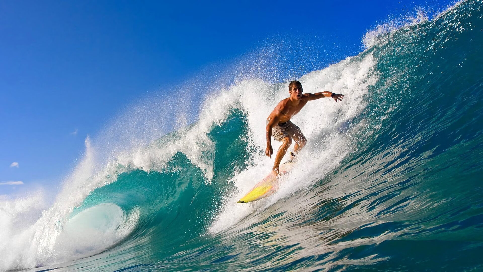 德国队女子泳员全力冲刺每场比赛，德国队女子泳员全力冲刺每场比赛结果
